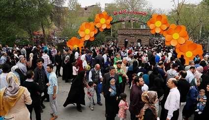 مهرجان سنوي لزهور التوليب في مدينة كرج غرب طهران