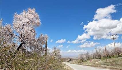 طبيعة الربيع في محافظة همدان