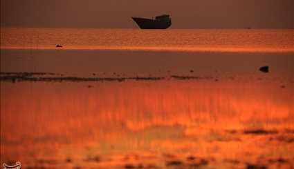 کلبه هور - خلیج فارس | تصاویر