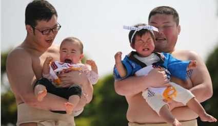 مسابقة “سومو بكاء الرضع” في اليابان والفائز من يبكي أكثر!