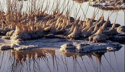اشکال عجیب نمکی در شورترین دریاچه جهان