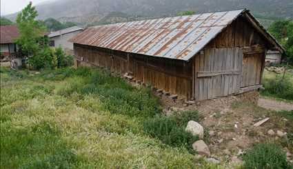نظرة عن قرية زروم نكا في محافظة مازنداران