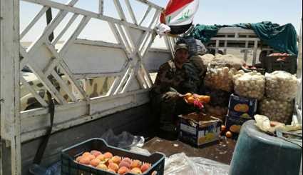 تقديم الدعم اللوجستي لعوائل الشهداء ولقوات الحشد الشعبي العراقي