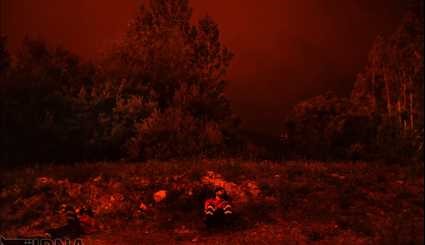 آتش‌سوزی جنگل‌های پرتغال با 24 کشته | تصاویر