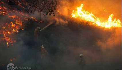 آتش‌سوزی مرگبار در جنگل‌های پرتغال