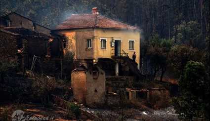 آتش‌سوزی مرگبار در جنگل‌های پرتغال