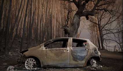 حرائق مدمرة في الغابات البرتغالية