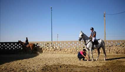 Horse jumping race in Hamedan