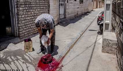حرفه «نمد مالی» در شیراز | تصاویر