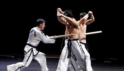 North Korean Taekwondo-style