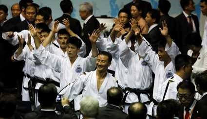 North Korean Taekwondo-style