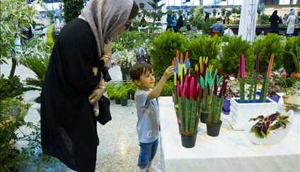 ششمین نمایشگاه گل و گیاه، فضای سبز و ماهیان زینتی اراک | تصاویر