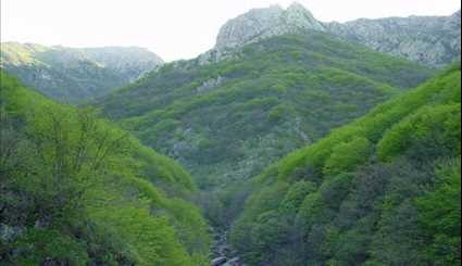 المناظر الطبيعية للجبل الأخضر بمنطقة 