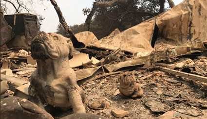 Wildfires rage across California