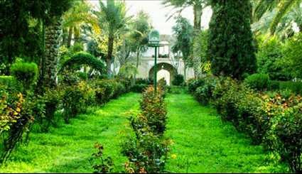 حديقة غلشن في مدينة طبس شمال شرق ايران