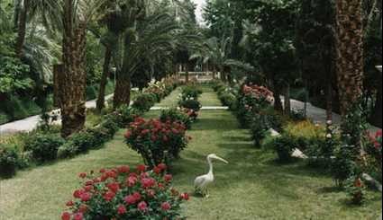 حديقة غلشن في مدينة طبس شمال شرق ايران