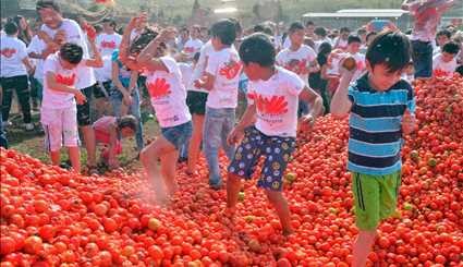 مهرجان الطماطم في كوريا الجنوبية