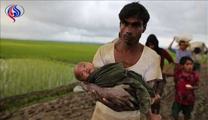 60 ألف روهينغي فروا إلى بنغلادش وحرق أكثر من 2600 منزل والمجازر متواصلة