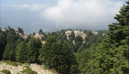 محمية اليمونة الطبيعية في لبنان