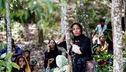 ميانمار...تهجير، قتل وإبادة مسلمي الروهينغا