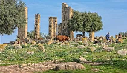 منطقة عين تونقة الاثرية في تونس