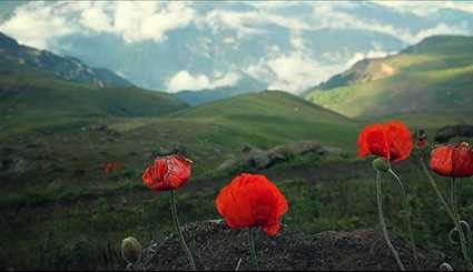 الطبيعة في منطقة سوباتان قرب مدينة اردبيل الايرانية