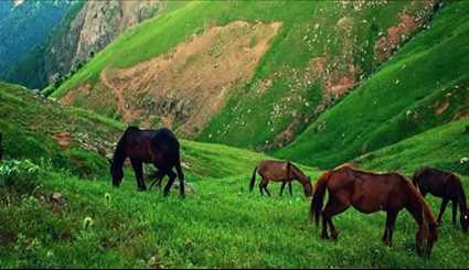 الطبيعة في منطقة سوباتان قرب مدينة اردبيل الايرانية