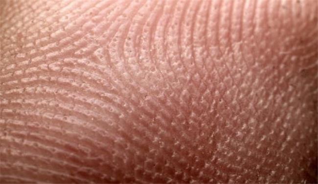 علماء يشكلون بنك خلايا دماغية من الخلايا الجلدية