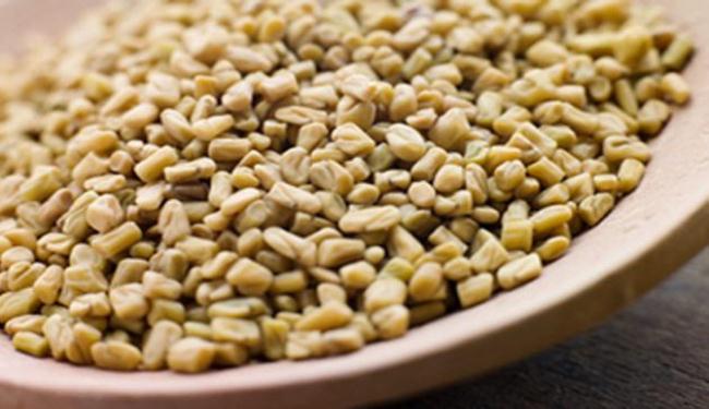 بذور الحلبة المصرية مصدر تفشي بكتيريا 