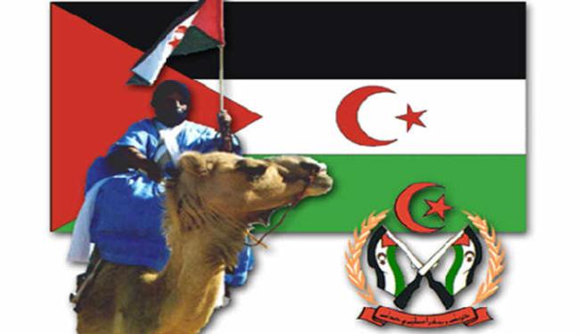 المغرب لوحده لا يمكنه حل مشكلة الصحراء