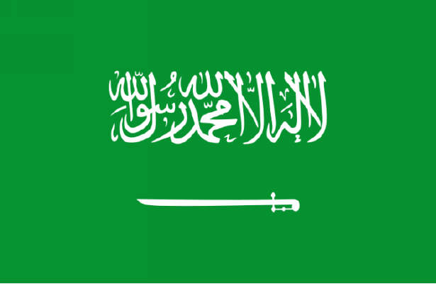 تاکید بر لغو قانون ضد تروریسم در عربستان 
