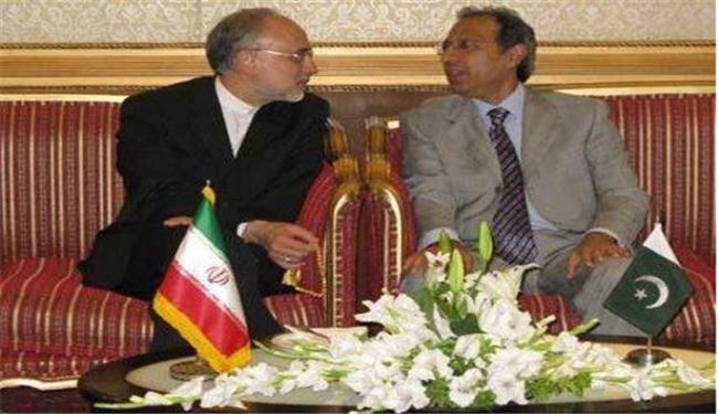 صالحي يؤكد اهمية تطوير العلاقات بين ايران وباكستان 