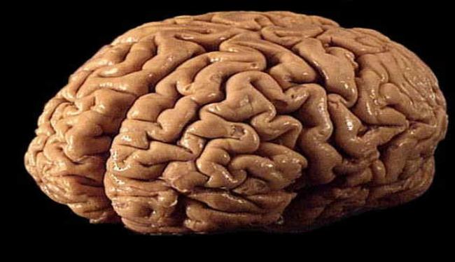 بحث: نقص فيتامن B12 قد يؤثر على الذاكرة