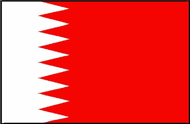 حل الازمة الليبية يكمن في تسليح الثوار