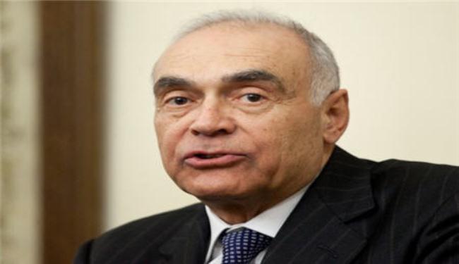 الخارجية المصرية تحذر من تسليح المعارضة السورية