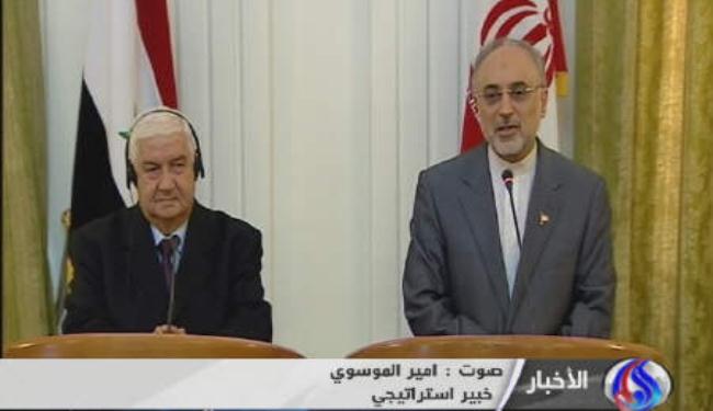 خبير استراتيجي : زيارة المعلم الى طهران مهمة جدا 