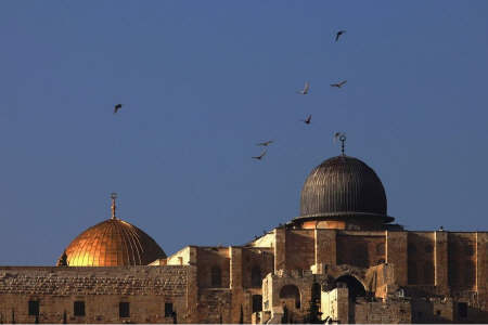 وحدت مسلمین ، آرزوی ملت فلسطین در عید فطر  