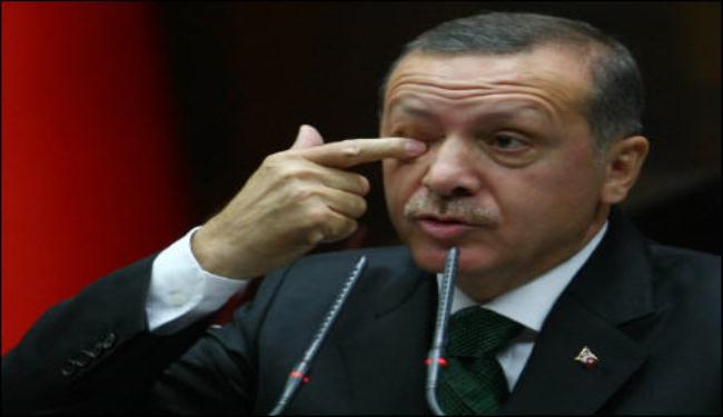 خبير سوري: عقلاء تركيا سيتصدون لسياسات اردوغان الطائشة