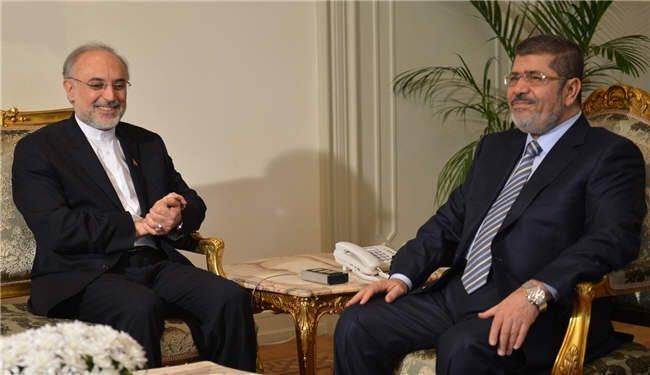 سیاستمدار مصری، سفر صالحی را مثبت ارزیابی کرد