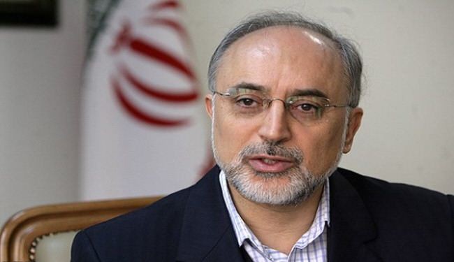 'Iran, P5+1 to meet on Feb. 25 in Kazakhstan'