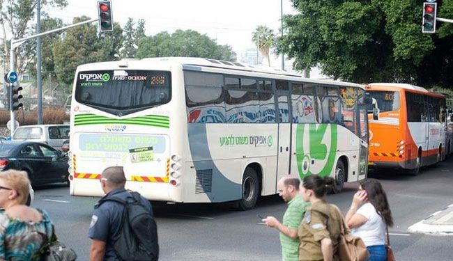 نقل الفلسطينيين بحافلات خاصة ينتهك القانون الدولي
