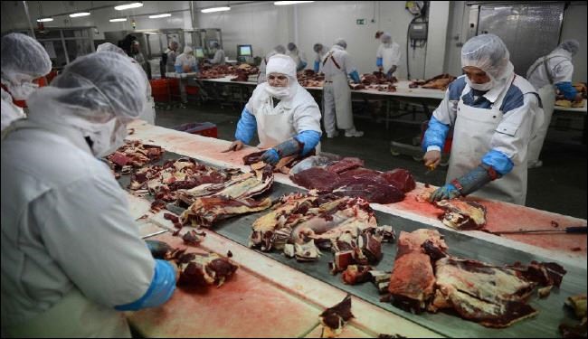 فضيحة لحوم الخيل تصل إلى إيطاليا