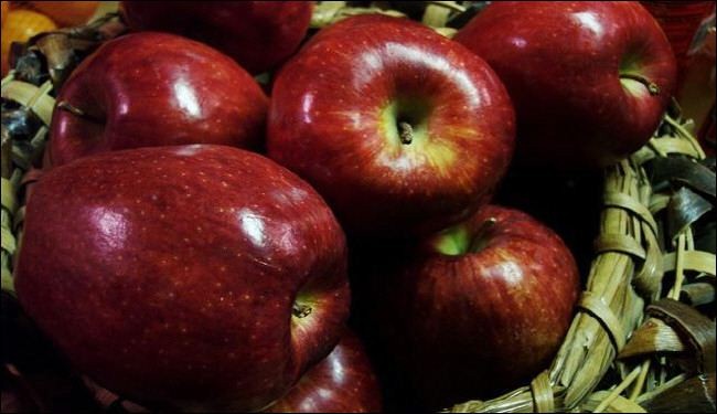إرتفاع صادرات التفاح الإيراني بنسبة 77%