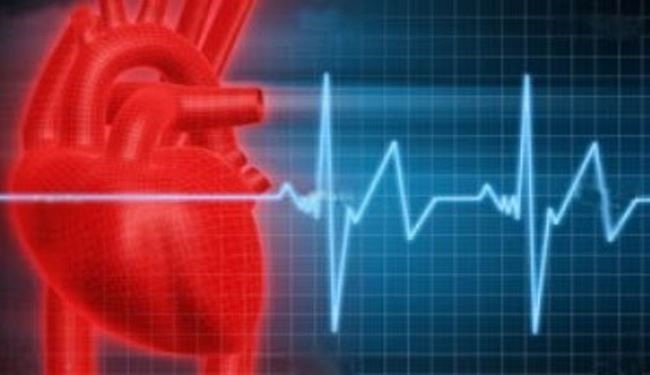 Iranian researchers to develop artificial heart