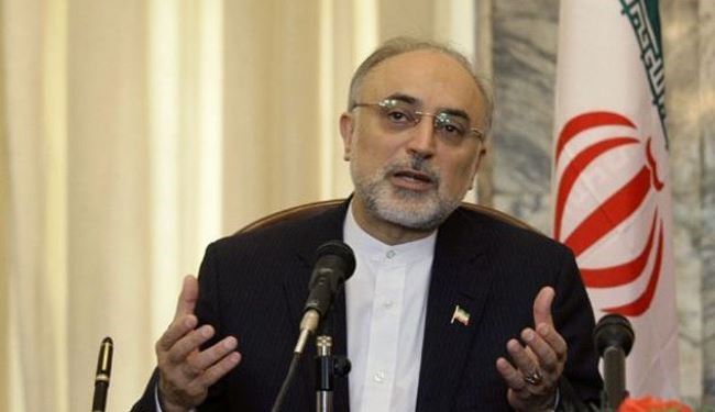 Iran opposes foreign intervention in Syria: Salehi