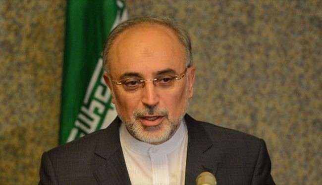 Iran seeks cooperation with regional countries:FM
