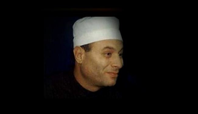 Who is martyr Sheikh Hassan Shehata?