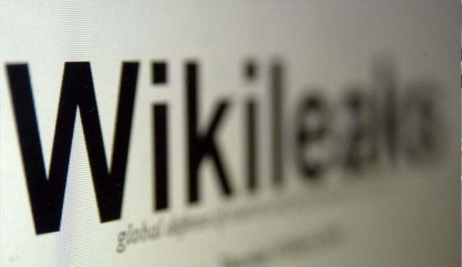 WikiLeaks: Snowden seeks asylum in 20 countries