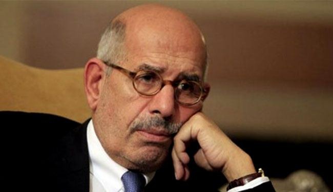 Egypt opposition picks ElBaradei as representative