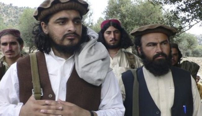 طالبان باكستان مستعدة للدخول في محادثات مع الحكومة